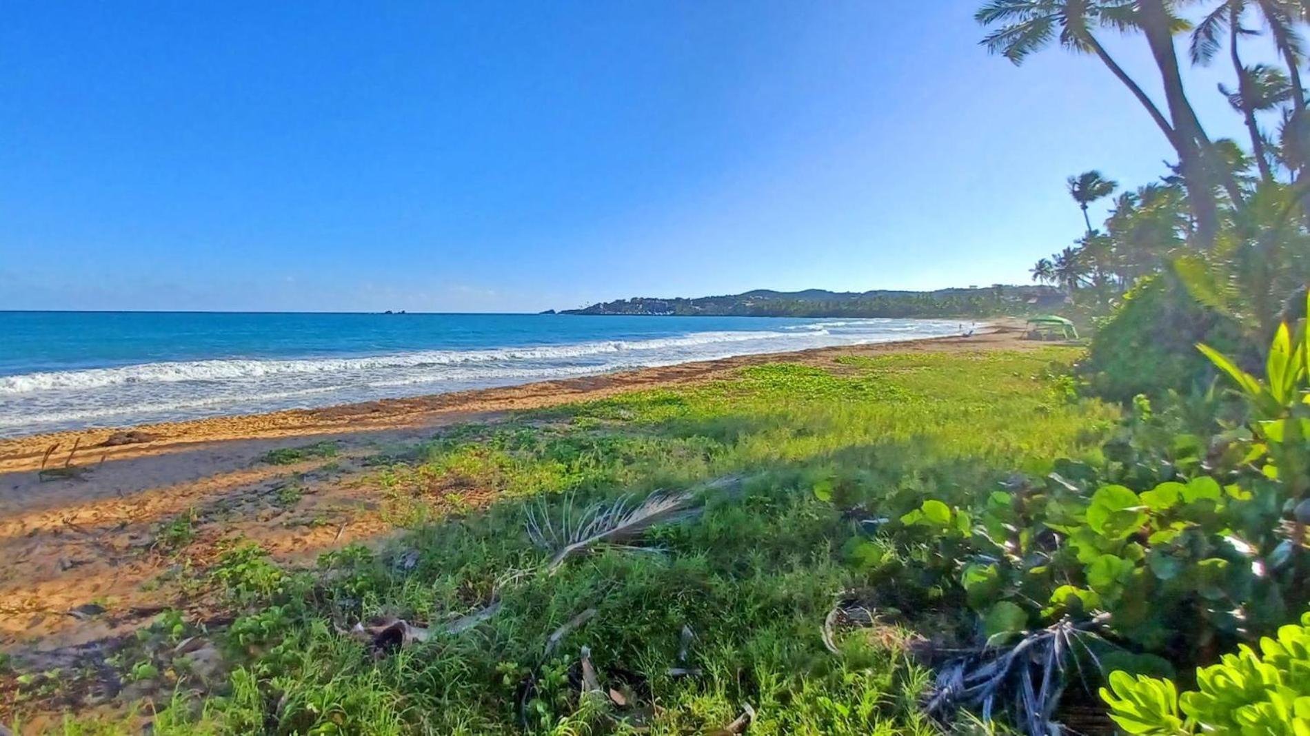 Appartamento Turtle Pond Humacao Esterno foto