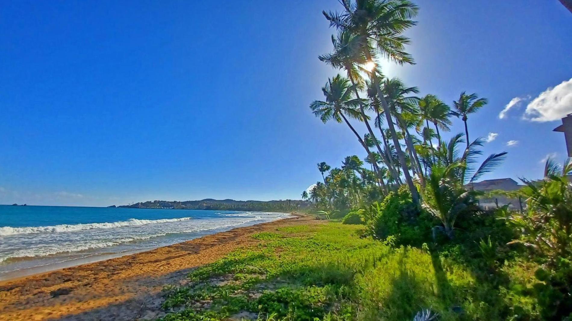 Appartamento Turtle Pond Humacao Esterno foto